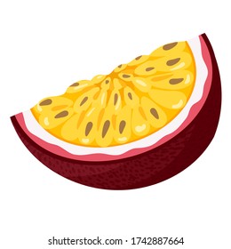 Fresh bright exotic cut slice passion fruit isolated on white background. Summer fruits for healthy lifestyle. Organic fruit. Cartoon style. Vector illustration for any design.