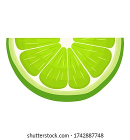 Fresh bright exotic cut slice lime fruit isolated on white background. Summer fruits for healthy lifestyle. Organic fruit. Cartoon style. Vector illustration for any design.