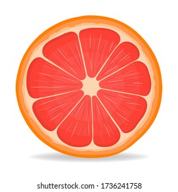 Fresh bright exotic half cut grapefruit isolated on white background. Summer fruits for healthy lifestyle. Organic fruit. Cartoon style. Vector illustration for any design.
