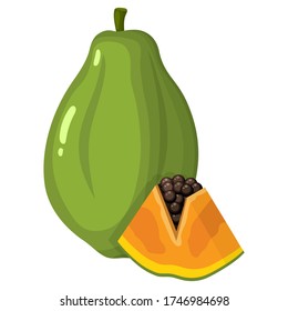 Fresh bright exotic whole and cut slice papaya fruit isolated on white background. Summer fruits for healthy lifestyle. Organic fruit. Cartoon style. Vector illustration for any design.