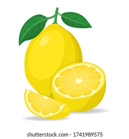 Fresh bright exotic whole, half and cut slice lemon fruit isolated on white background. Summer fruits for healthy lifestyle. Organic fruit. Cartoon style. Vector illustration for any design.