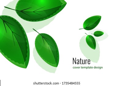 Fresh bright green leaves. Creative summer background for your design. Vector illustration