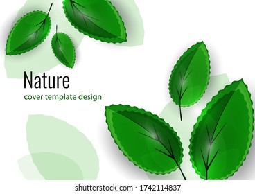 Fresh bright green leaves. Creative summer background for your design. Vector illustration