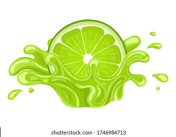Fresh bright half cut lime juice splash burst isolated on white background. Summer fruit juice. Cartoon style. Vector illustration for any design.