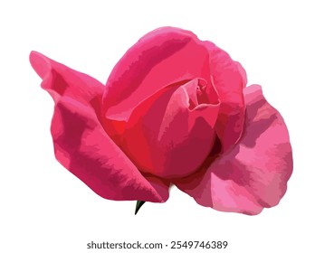 Fresh bright pink organic rose flower bud with petals 3d icon realistic vector illustration. Parole pink rose bud isolated on white background. Parole is a rosebud of purple-pink color. Hybrid tea ros