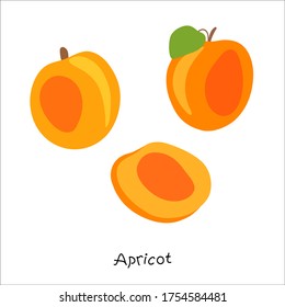 Fresh, bright whole and halved apricots, leaves, fruits on a white background. Doodle Minimal Style. Vector handwriting illustration. Hand-drawn. Vegetarian food. Healthy eating. Set.