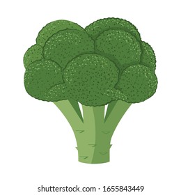 Fresh Broccoli Cabbage On A White Background. A Healthy Green Vegetable Product. Brocolli Icon. Can Be Used As Emblem, Logo, Web Print, Sticker. Vector Illustration.