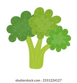 Fresh broccoli in cartoon style isolated element. Doodle vegetable clipart. Healthy food print. Vector illustration