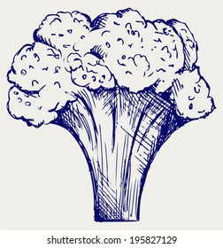 Fresh broccoli. Doodle style