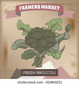 Fresh broccoli in garden hand drawn color vector sketch on wooden background. Farmers market collection. Great for cooking, gardening, farming or agricultural design.