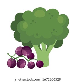 fresh broccoli with grapes isolated icon vector illustration design