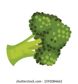 Fresh Broccoli Head Vector Item. Green Vegetable for Cooking Purpose