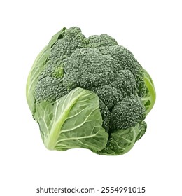 A fresh broccoli head with vibrant green florets and leaves.