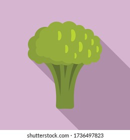 Icono de brócoli fresco. Ilustración plana del icono vector de brócoli fresco para el diseño web