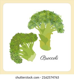 Fresh broccoli icon. Broccoli isolated on white background. Vector illustration of a fresh vegetable in a flat style.