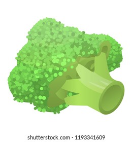 Fresh broccoli icon. Isometric of fresh broccoli vector icon for web design isolated on white background