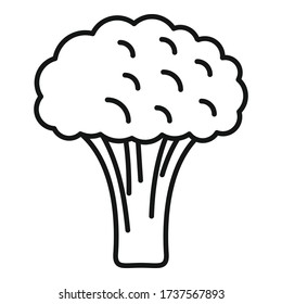 Fresh broccoli icon. Outline fresh broccoli vector icon for web design isolated on white background