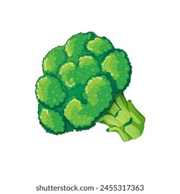 Fresh broccoli icon. Realistic illustration of fresh broccoli vector icon for web design