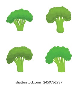 Fresh broccoli icons set cartoon vector. Green broccoli cabbage on stalk. Healthy nutrition