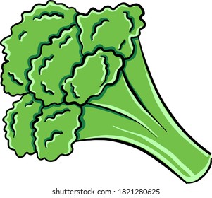 Brocoli fresco, ilustración, vector sobre fondo blanco
