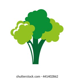 fresh broccoli isolated icon design