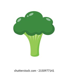 Fresh broccoli isolated on white background. Broccoli vegetable nature. Vector stock