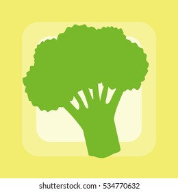 Fresh broccoli on bright background