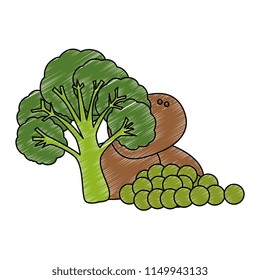 fresh broccoli with potatoes and grapes