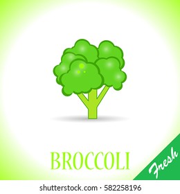 Fresh broccoli. Vector, illustration