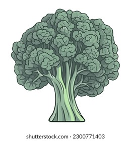 fresh broccoli vegetable green leaves icon isolated