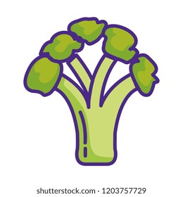 fresh broccoli vegetable icon