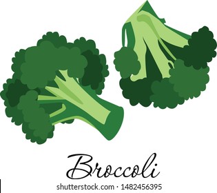 Fresh broccoli vegetable icon vector illustration. Whole and cut vegan green lettuce or cabbage product for veggie grocery shop emblem, product tag, label design. Isolated on white