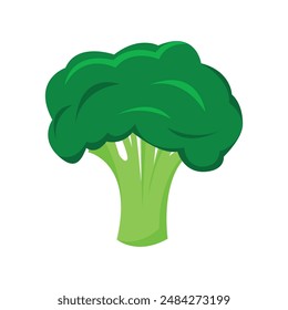 Fresh broccoli vegetable illustration on white background.
