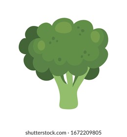 fresh broccoli vegetable isolated icon vector illustration design vector illustration design