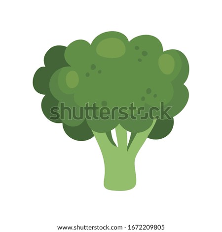 fresh broccoli vegetable isolated icon vector illustration design vector illustration design