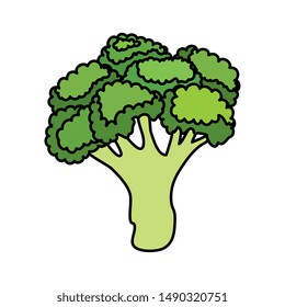 fresh broccoli vegetable nature icon