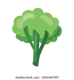 icono de la naturaleza vegetal del brócoli fresco