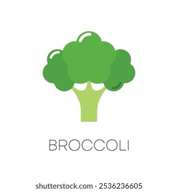 Icono de naturaleza vegetal de brócoli fresco. Ilustración vectorial.