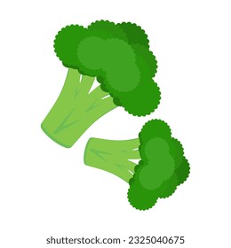 fresh broccoli vegetable nature icon.Broccoli vector icon isolated on white background,fresh vegetables, organic healthy food.  used for magazine, book, poster, card, menu cover, web pages. 