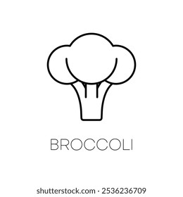 Icono de línea de naturaleza vegetal de brócoli fresco. Ilustración vectorial.