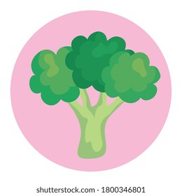 fresh broccoli vegetable on round frame, in white background vector illustration design