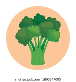 vegetales de brócoli frescos en el marco redondo diseño de ilustración vectorial