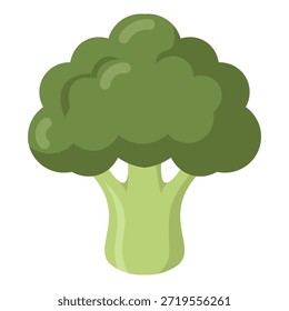 Ilustración vectorial vegetal fresca del brócoli en estilo limpio y simple, aislado en el fondo blanco. Perfecto para diseños de comida saludable, conceptos vegetarianos y veganos, nutrición, cocina, menús y proyectos educativos