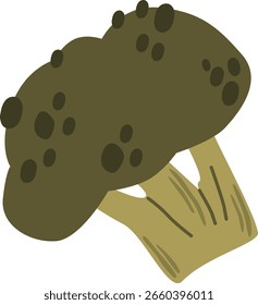 Ilustração do vetor vegetal da vitamina do brócolis fresco