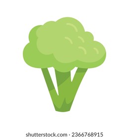 Fresh brocoli icon flat vector. Cabbage vegetable. Plant salad isolated