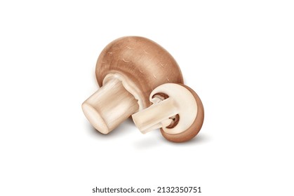 Fresh Brown Mushroom vector illustration with half piece of mushroom vegetable