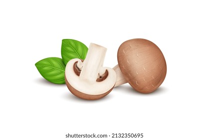 Fresh Brown Mushroom vegetable vector illustration with half piece of mushroom and green basil leaves