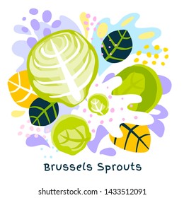 Fresh brussels sprouts cabbage vegetable juice splash organic food vegetables condiment spice splatter on abstract coloful splatter splash background vector hand drawn illustrations