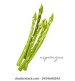 Fresh bunch of asparagus with inscription isolated on white background.