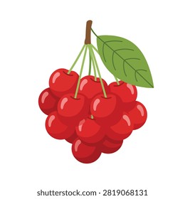 A fresh bunch of bright red cherries hanging from a green stem with a couple of green leaves attached